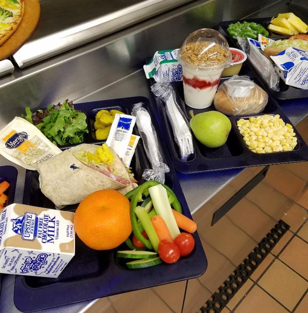 LUNCH TRAY